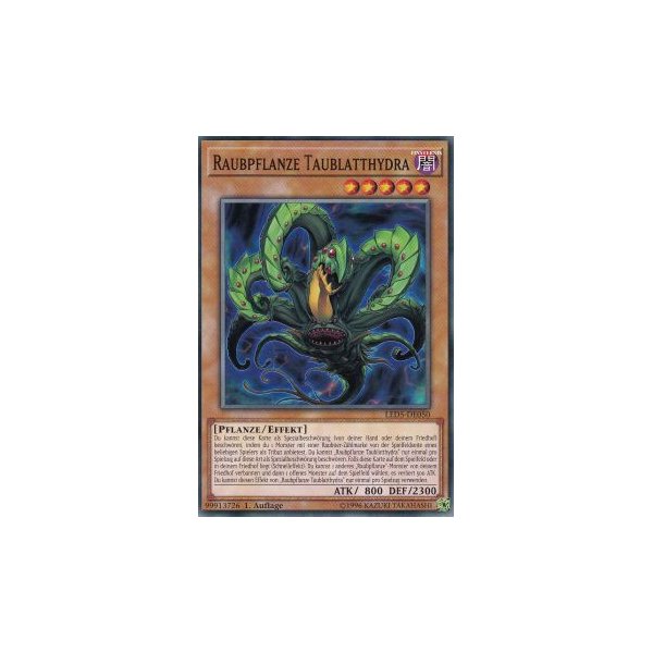 Raubpflanze Taublatthydra LED5-DE050