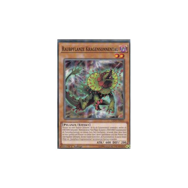 Raubpflanze Kragensonnentau LED5-DE051