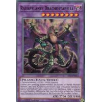 Raubpflanze Drachostapelia LED5-DE053