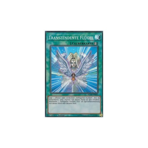 Transzendente Fl&uuml;gel AC19-DE022