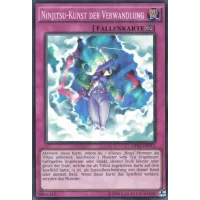 Ninjutsu-Kunst der Verwandlung OP02-DE011