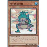 Roninkröte OP04-DE005