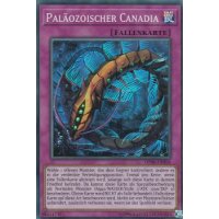 Pal&auml;ozoischer Canadia OP06-DE006
