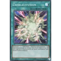&Uuml;berlastfusion OP06-DE013
