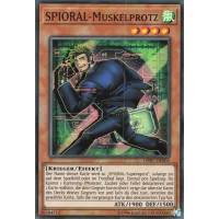 SPIORAL-Muskelprotz OP07-DE005