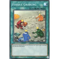 Fossile Grabung OP07-DE009