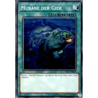 Muräne der Gier OP11-DE019