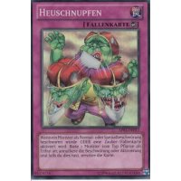 Heuschnupfen AP03-DE012