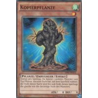 Kopierpflanze AP05-DE015