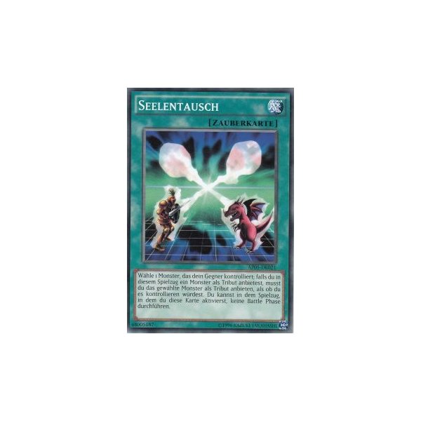 Seelentausch AP05-DE021