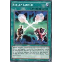 Seelentausch AP05-DE021