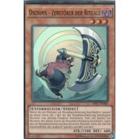Dschinn - Zerst&ouml;rer der Rituale AP07-DE006