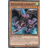 Rotäugiger Lindwurm AP08-DE019