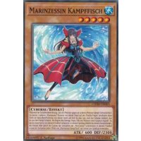 Marinzessin Kampffisch CHIM-DE003