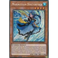 Marinzessin Doktorfisch CHIM-DE004