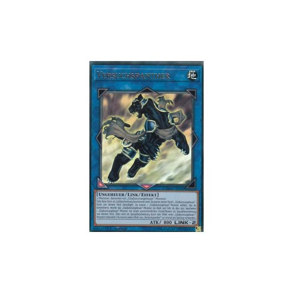 Versuchspanther CHIM-DE046