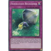 Friedliches Begr&auml;bnis CHIM-DE077