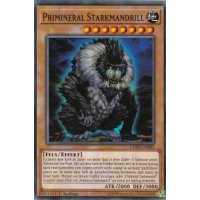 Primineral Starkmandrill CHIM-DE081