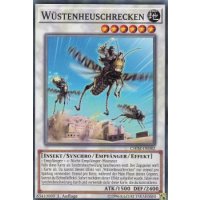 W&uuml;stenheuschrecken CHIM-DE082