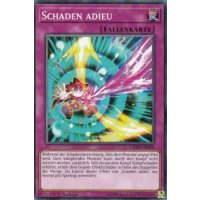 Schaden adieu CHIM-DE096