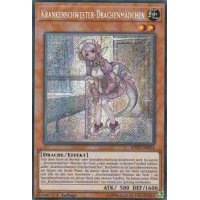 Krankenschwester-Drachenschwester MYFI-DE014