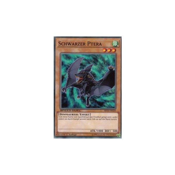 Schwarzer Ptera SBTK-DE020