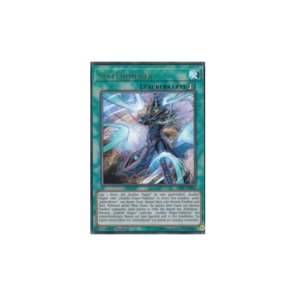 Seelendiener LED6-DE003