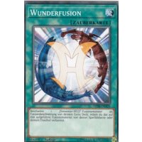 Wunderfusion LED6-DE020