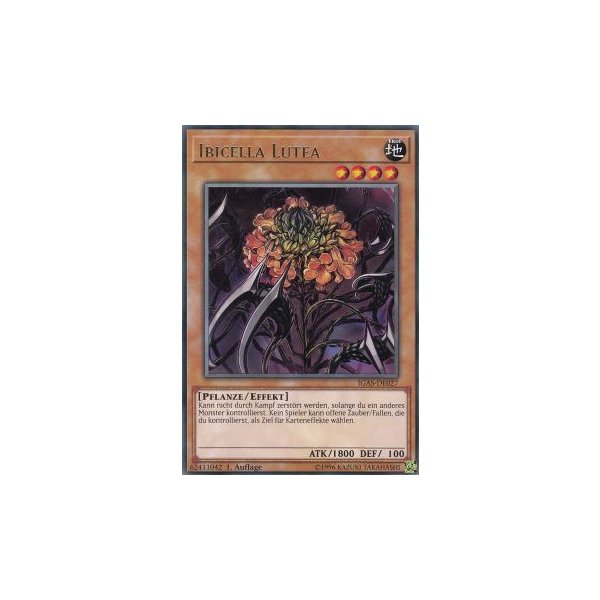 Ibicella Lutea IGAS-DE027