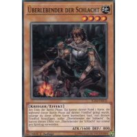 &Uuml;berlebender der Schlacht IGAS-DE032