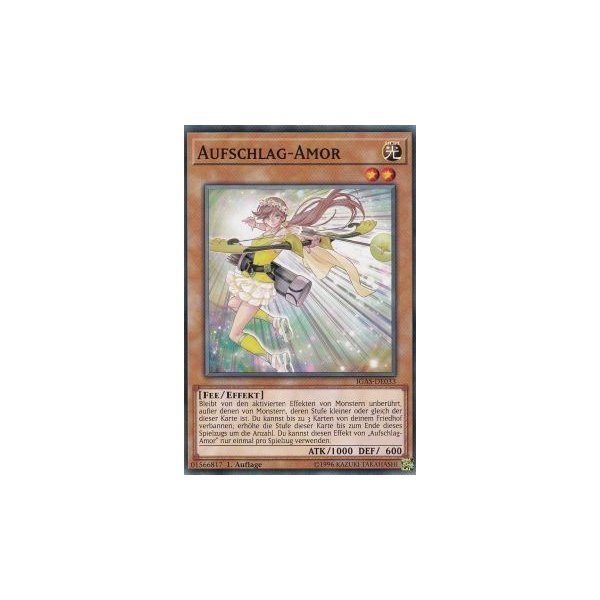 Aufschlag-Amor IGAS-DE033