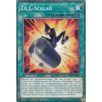 TA.I.-Schlag IGAS-DE051