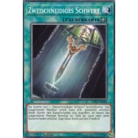 Zweischneidiges Schwert IGAS-DE068