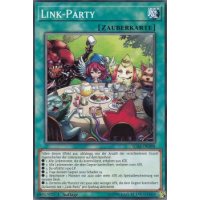 Link-Party IGAS-DE098