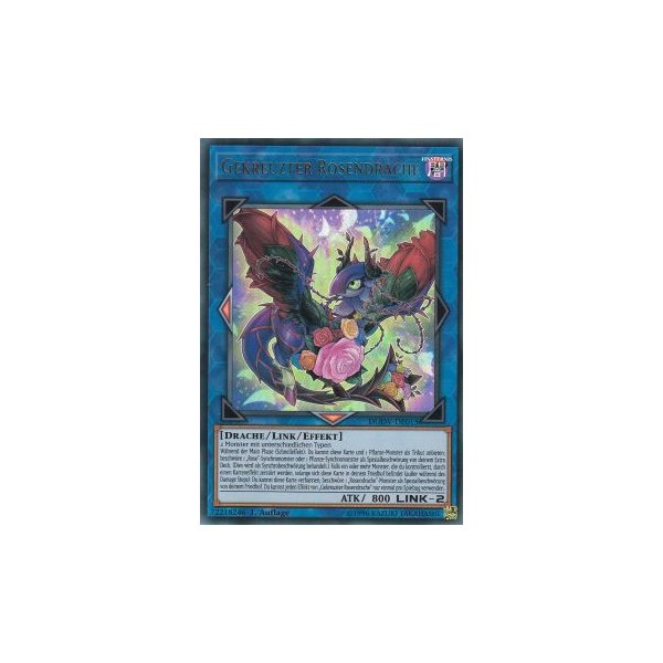 Gekreuzter Rosendrache DUOV-DE015