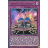 Niederträchtige Haltung DUOV-DE046