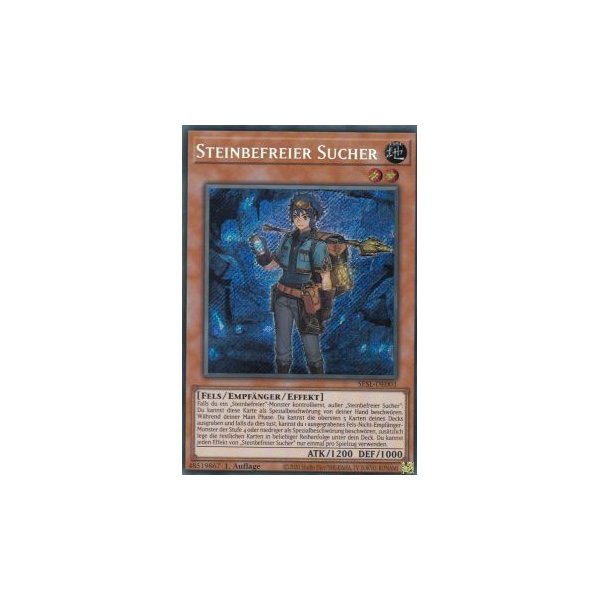 Steinbefreier Sucher SESL-DE001