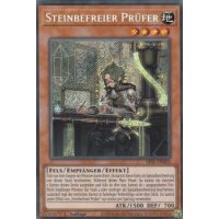 Steinbefreier Prüfer SESL-DE003