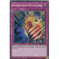 Steinbefreier-Entlastung SESL-DE012