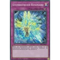 Steinbefreier-Resonanz SESL-DE013
