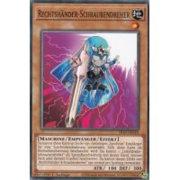 Rechtshänder-Schraubendreher SR10-DE019