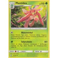 Mantidea 016/236