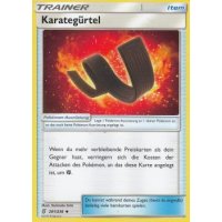 Karateg&uuml;rtel 201/236