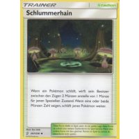 Schlummerhain 207/236