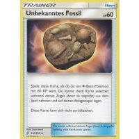 Unbekanntes Fossil 210/236