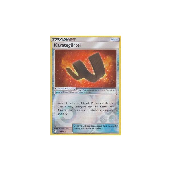 Karateg&uuml;rtel 201/236 REVERSE HOLO