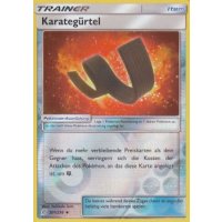 Karategürtel 201/236 REVERSE HOLO