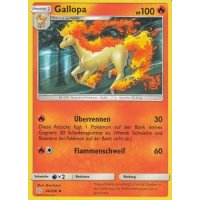 Gallopa 024/236