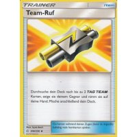 Team-Ruf 206/236