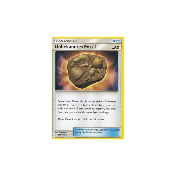 Unbekanntes Fossil 207/236